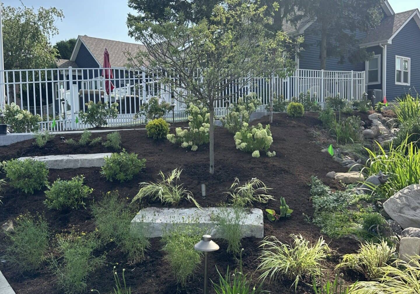 Lush garden with diverse plants and trees.